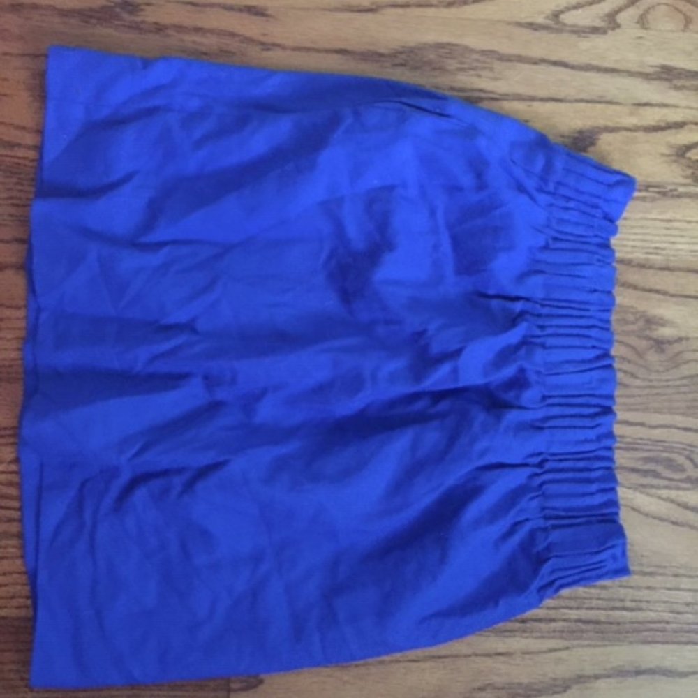 J. Crew Skirt 0